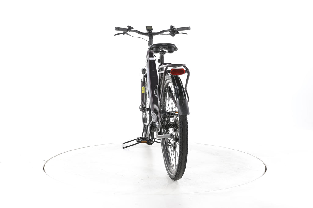 Pegasus Solero Evo 9 Trekking E-Bike Tiefeinsteiger 2024 - Image 10