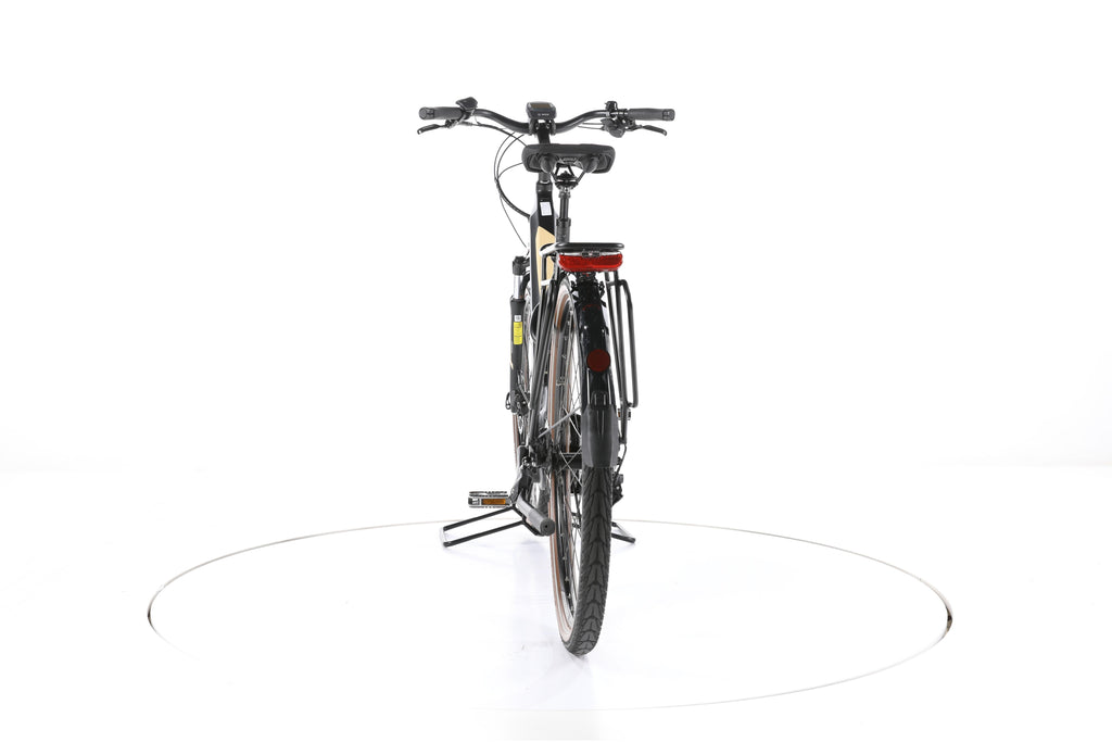 Gepida Bonum Trekking E-Bike Tiefeinsteiger - Image 10