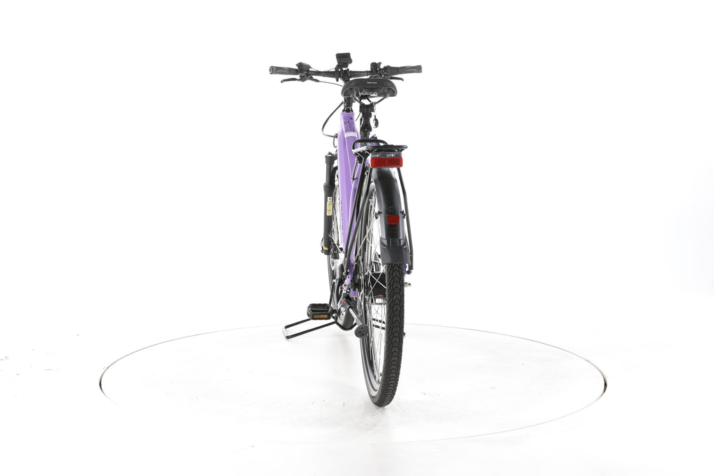 TRENGA DE GLE 10.0 i Gates City E-Bike 2025 - Image 10