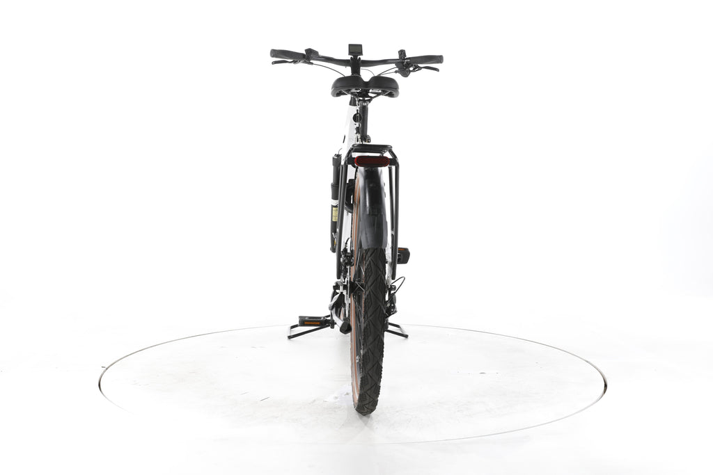 Pegasus Premio EVO Lite Trekking E-Bike Tiefeinsteiger - Image 10