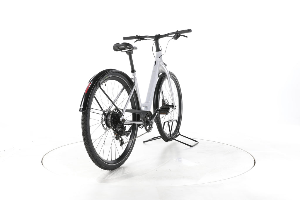 Coboc Kallio RGD Trekking E-Bike Tiefeinsteiger - Image 11