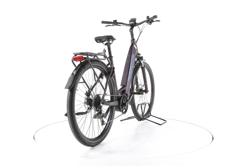 Pegasus Solero Evo 9 Trekking E-Bike Tiefeinsteiger - Image 11