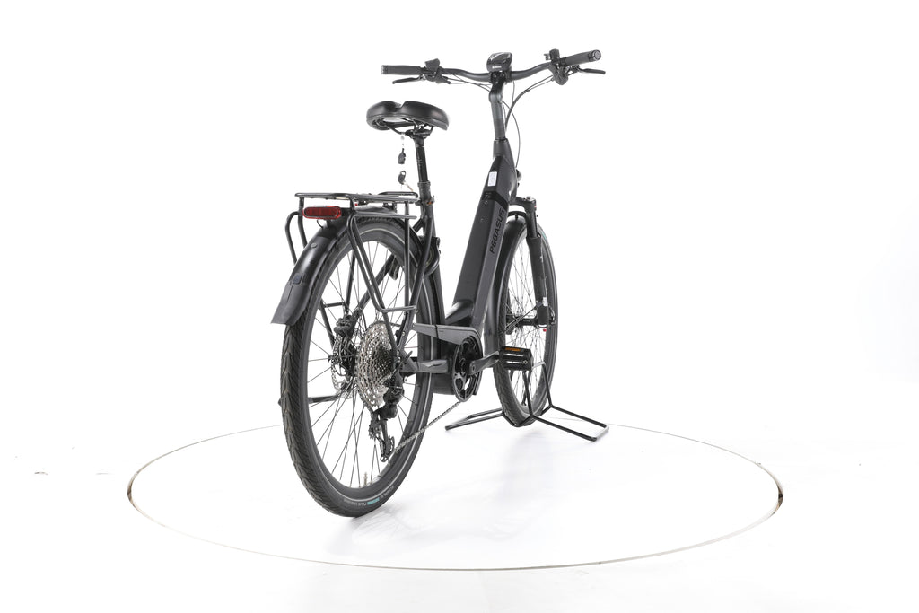 Pegasus Strong EVO 12 Lite Trekking E-Bike Tiefeinsteiger - Image 11