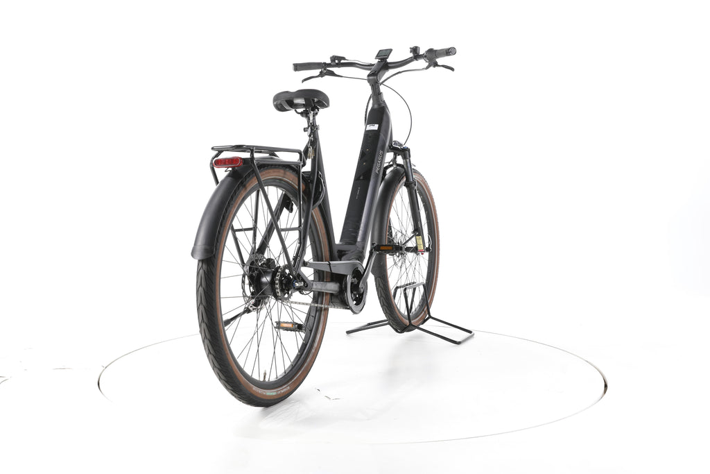 Pegasus Strong EVO 5R City E-Bike Tiefeinsteiger 2024 - Image 11