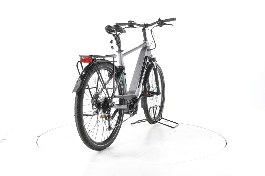 Pegasus EVO CX ,silber,55cm Trekking E-Bike - Image 11