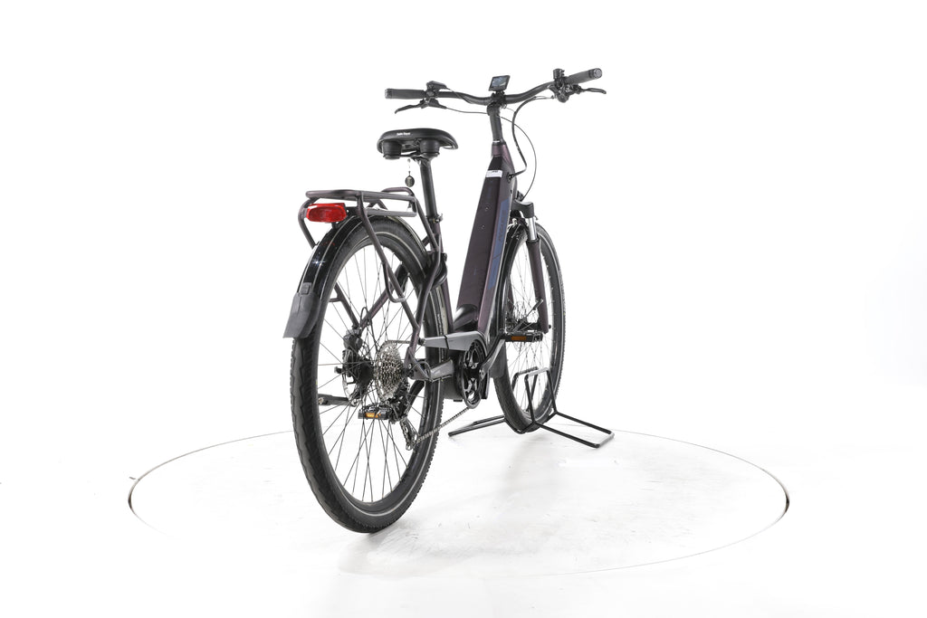 Pegasus Solero Evo 9 Trekking E-Bike Tiefeinsteiger 2024 - Image 11