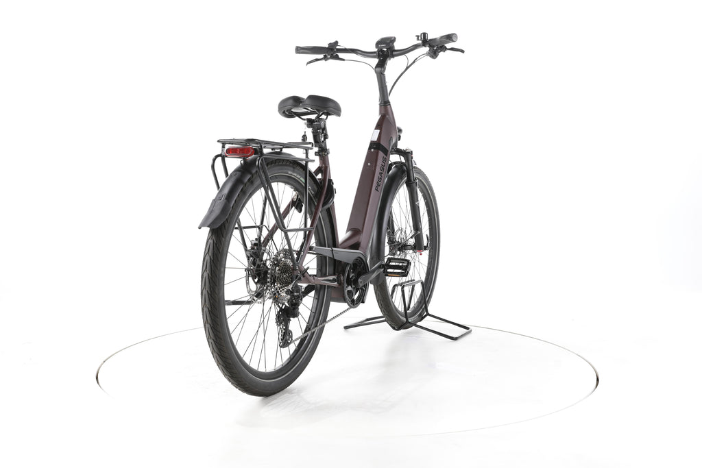 Pegasus Strong EVO 10 Lite Trekking E-Bike Tiefeinsteiger - Image 11