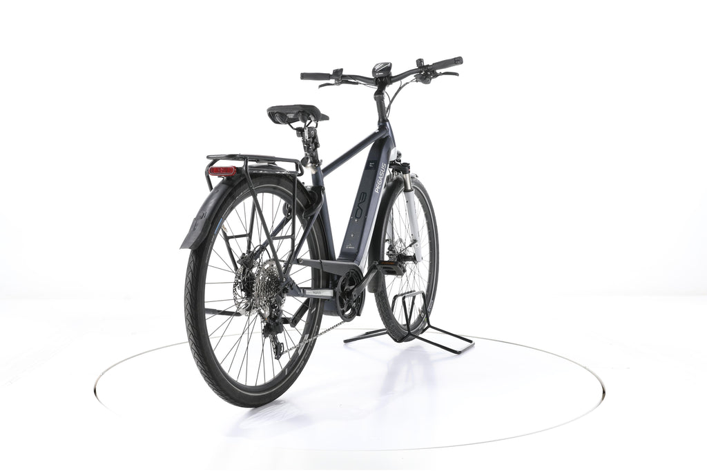 Pegasus Premio Evo 10 Lite Trekking E-Bike - Image 11