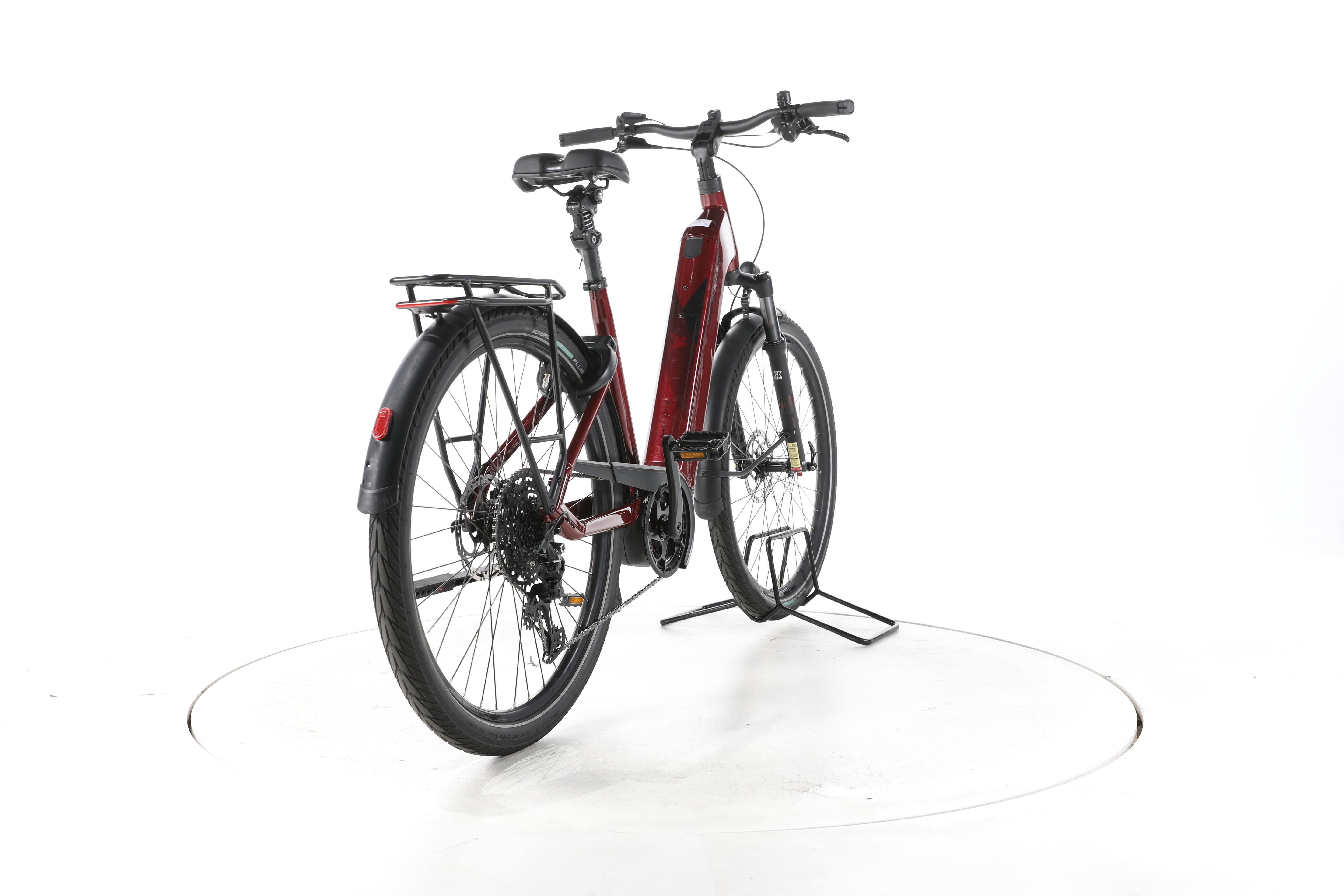 Pegasus Strong Evo 10 Lite Trekking E-Bike Tiefeinsteiger 2025 - Image 11