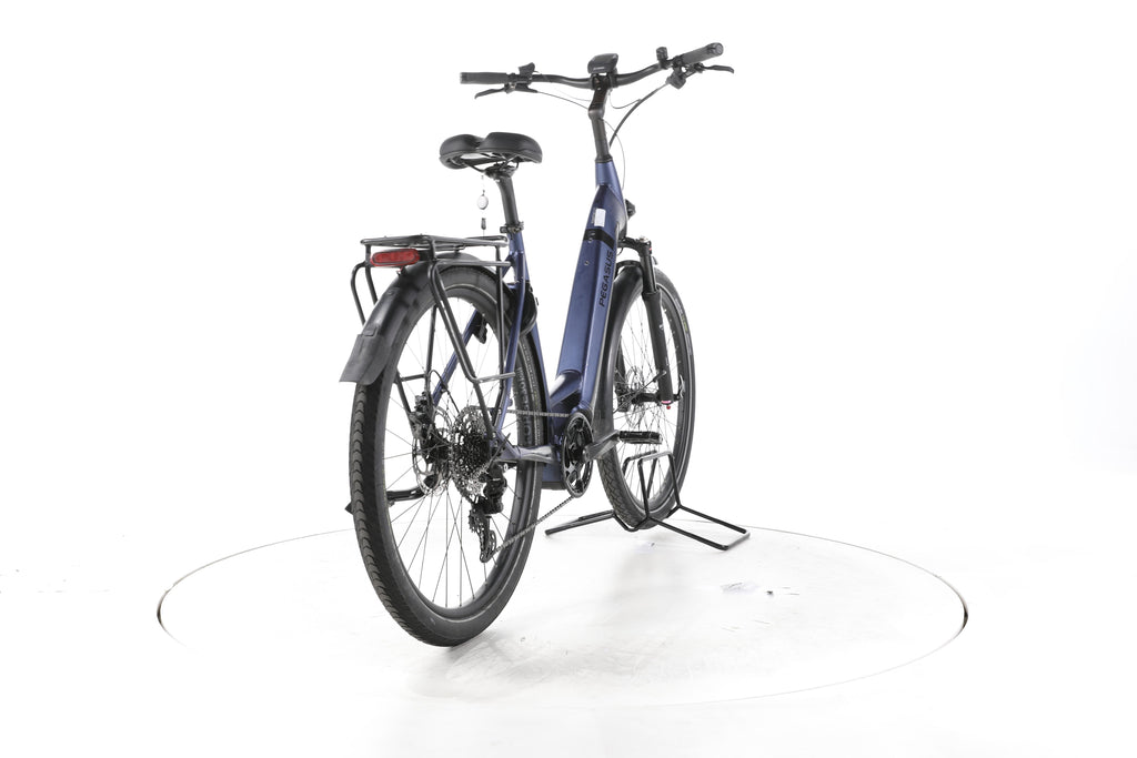 Pegasus Strong EVO 10 Lite Trekking E-Bike Tiefeinsteiger - Image 11