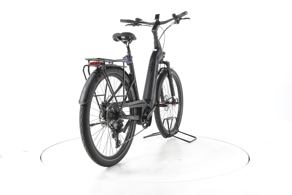 Pegasus Strong Evo 11 Lite Trekking E-Bike Tiefeinsteiger 2024 - Image 11