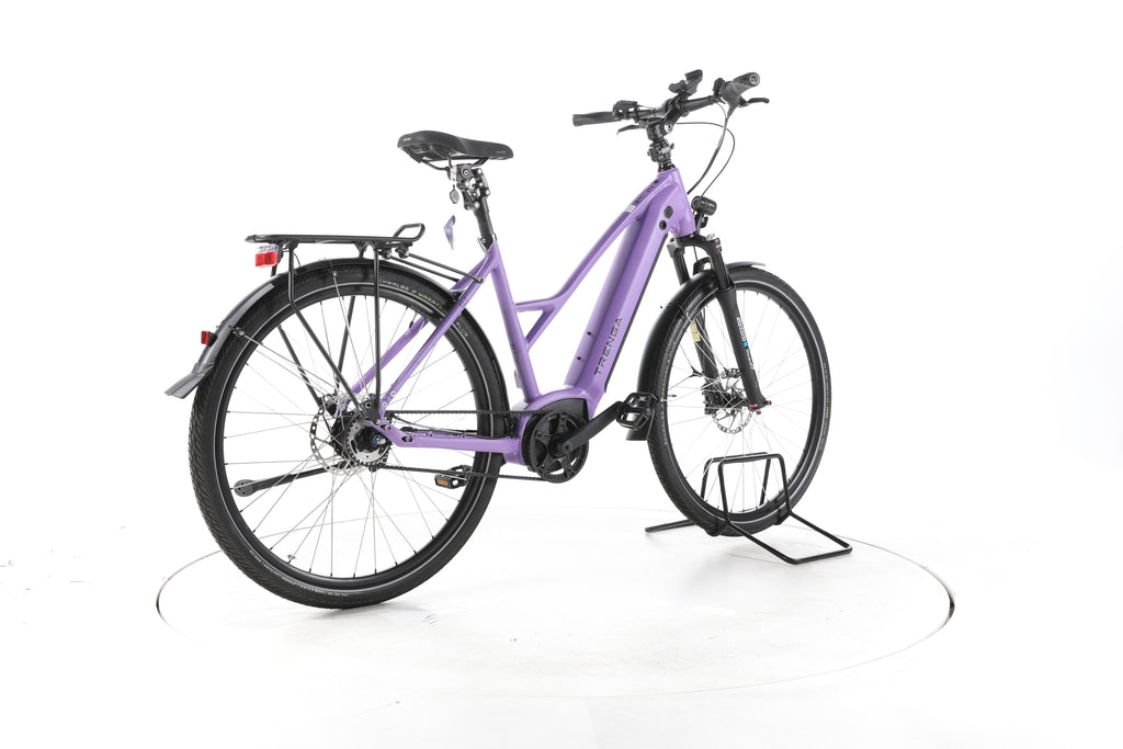 TRENGA DE GLE 10.0 i Gates City E-Bike 2025 - Image 12