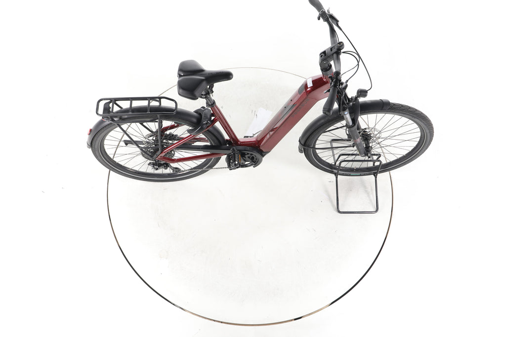 Pegasus Strong Evo 10 Lite Trekking E-Bike Tiefeinsteiger 2025 - Image 13
