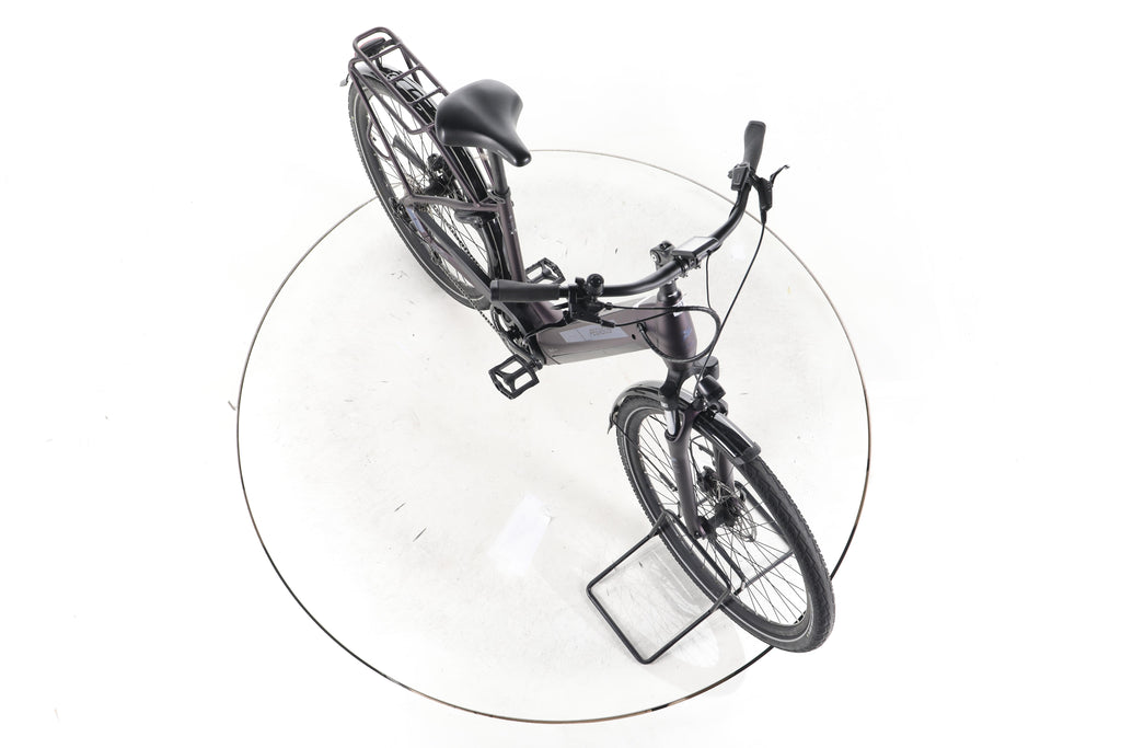 Pegasus Solero Evo 9 Trekking E-Bike Tiefeinsteiger 2024 - Image 15