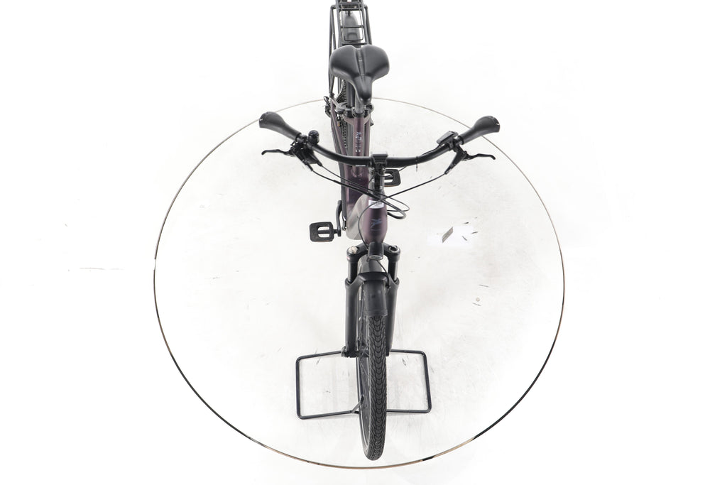Pegasus Premio EVO 11 "40 Years" Trekking E-Bike Tiefeinsteiger - Image 16