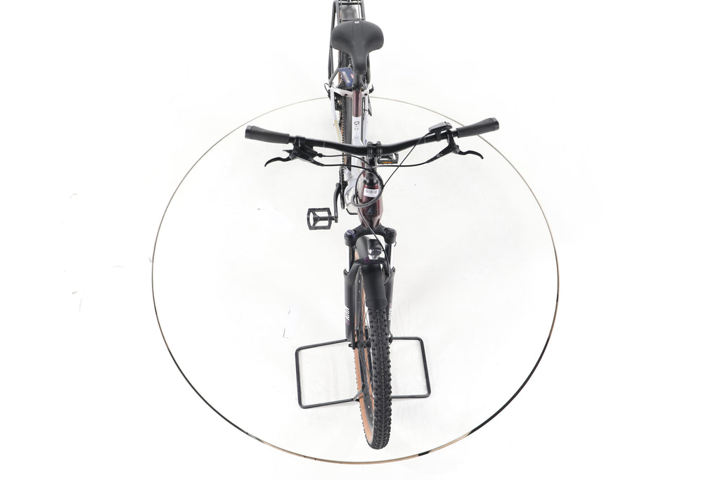Bulls Cross EVO,berry /gray,50 Trekking E-Bike - Image 16