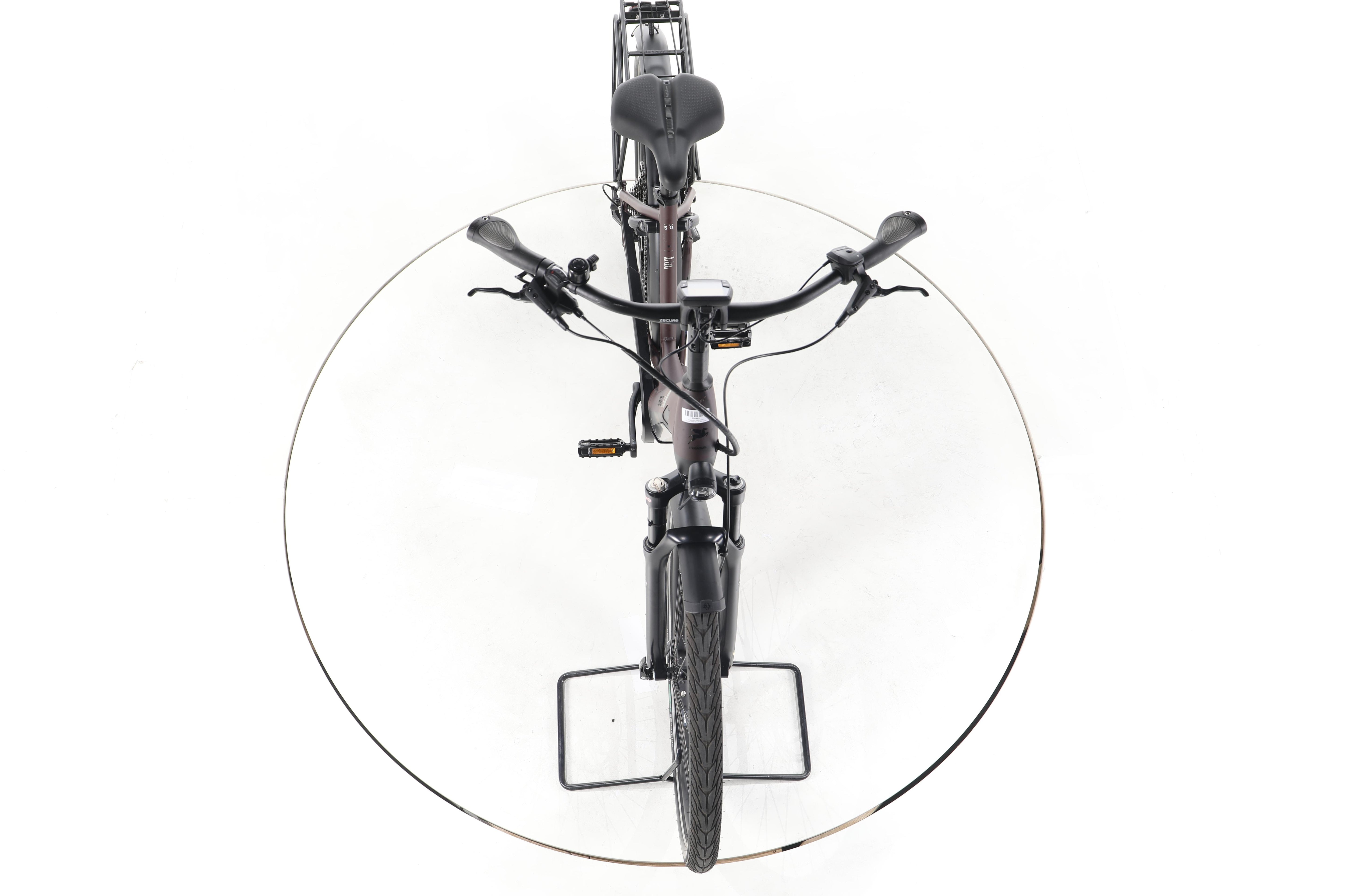 Pegasus Strong EVO 10 Lite Trekking E-Bike Tiefeinsteiger - Image 16