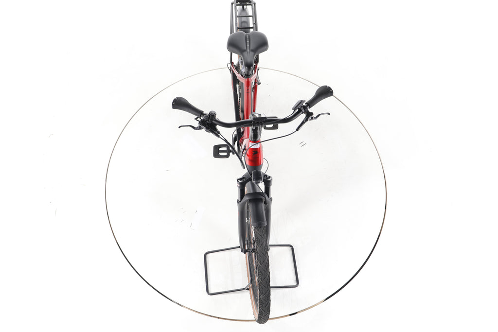 Pegasus Premio Evo 10 Lite Trekking E-Bike Tiefeinsteiger 2024 - Image 16