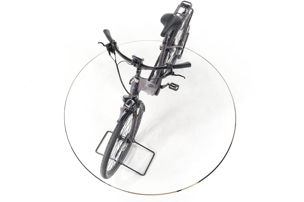 Pegasus Solero EVO 9 Trekking E-Bike Tiefeinsteiger - Image 17