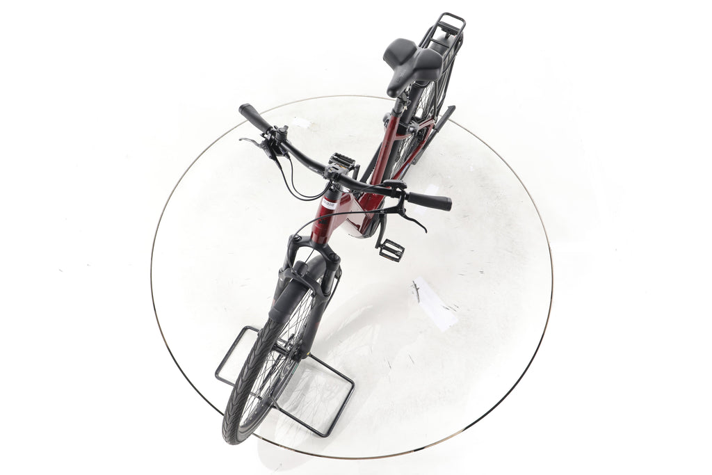 Pegasus Strong Evo 10 Lite Trekking E-Bike Tiefeinsteiger 2025 - Image 17