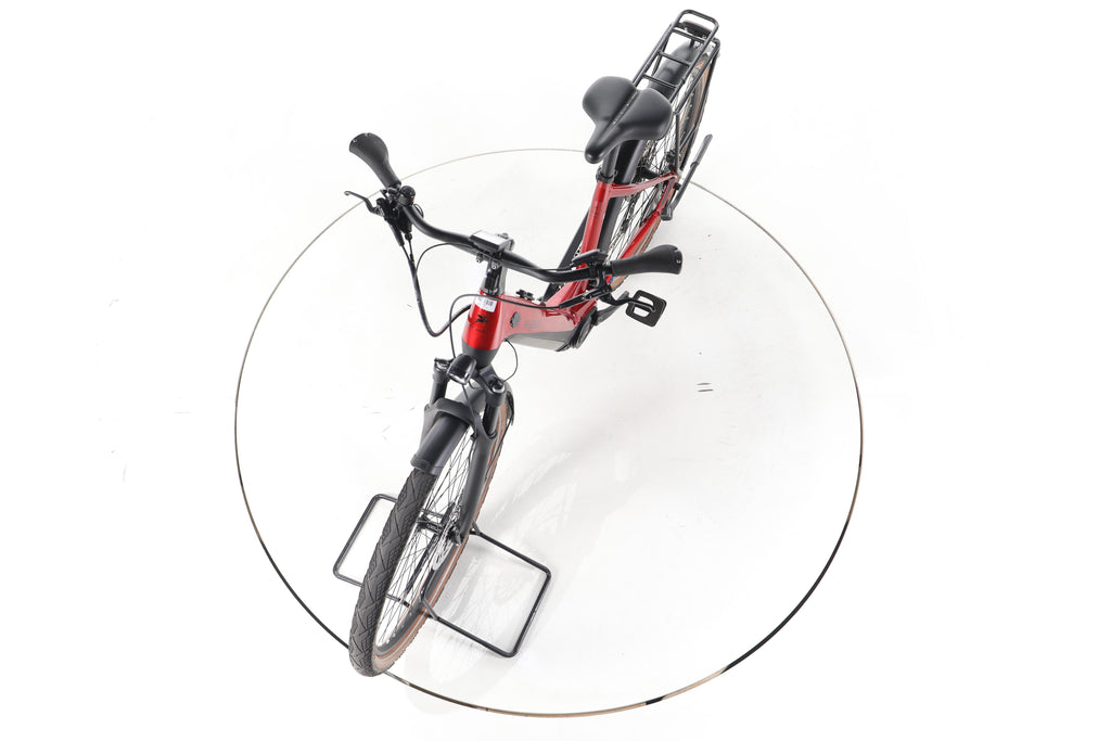 Pegasus Premio Evo 10 Lite Trekking E-Bike Tiefeinsteiger 2024 - Image 17