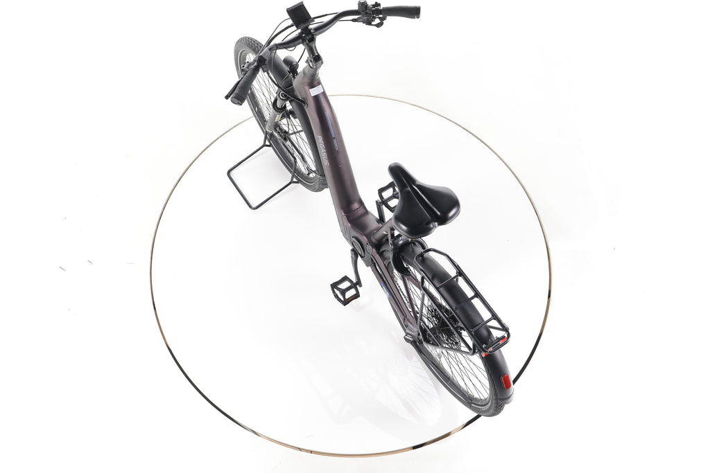 Pegasus Premio EVO Lite Trekking E-Bike Tiefeinsteiger - Image 21