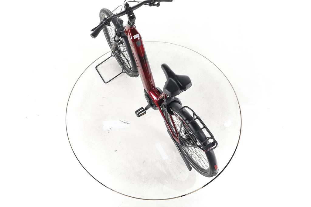 Pegasus Strong Evo 10 Lite Trekking E-Bike Tiefeinsteiger 2025 - Image 21
