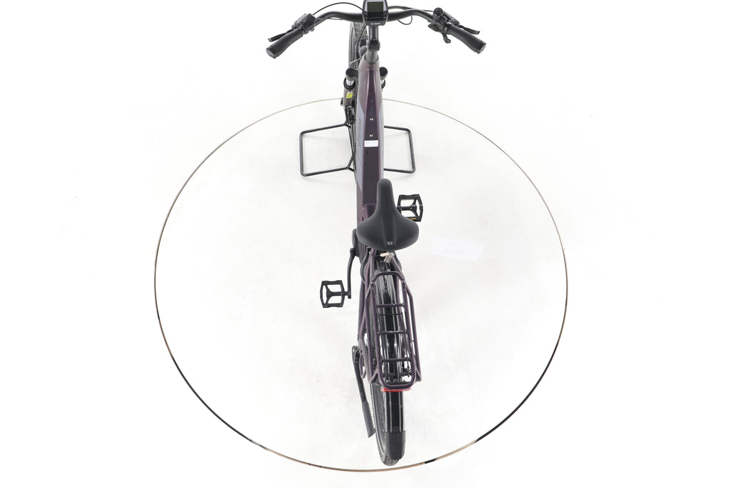 Pegasus Solero EVO 9 Trekking E-Bike Tiefeinsteiger - Image 22