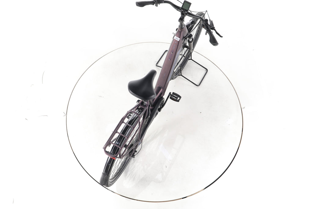 Pegasus Solero EVO 9 Trekking E-Bike Tiefeinsteiger - Image 23