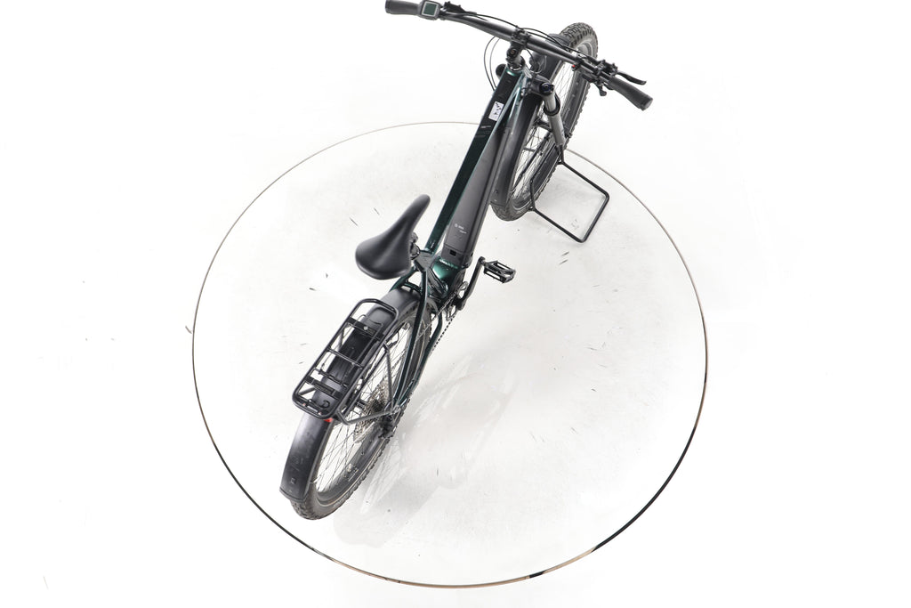 Bionicon EARP SUV 1 Trekking E-Bike - Image 23