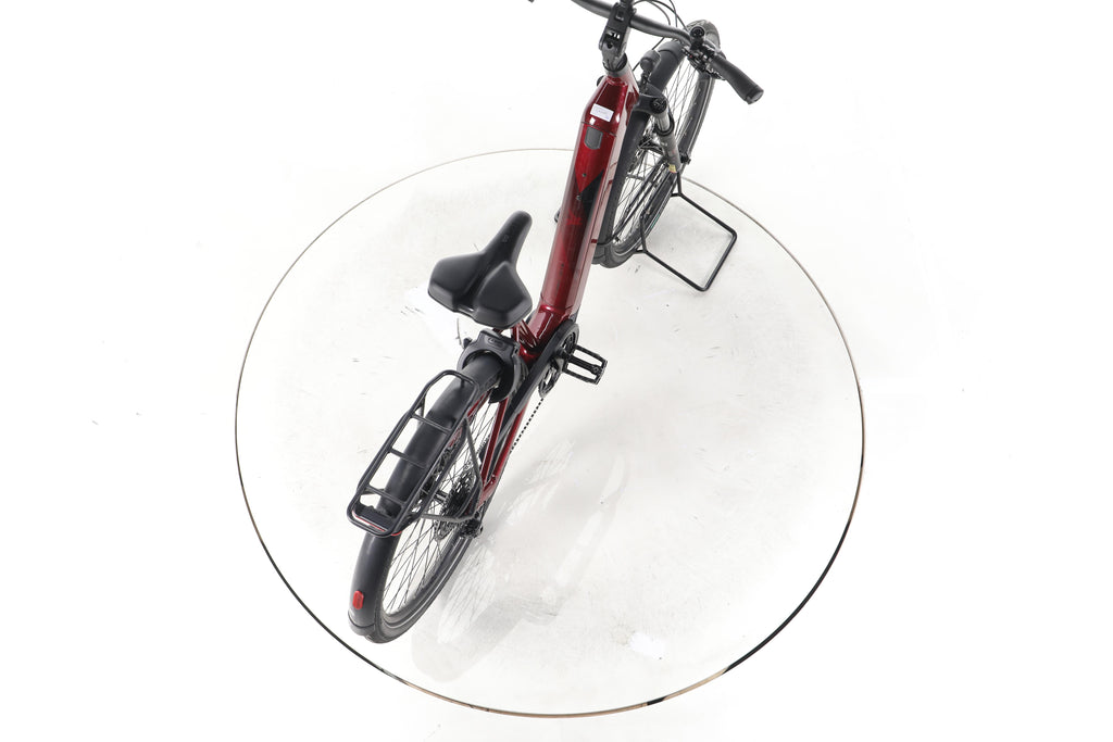 Pegasus Strong Evo 10 Lite Trekking E-Bike Tiefeinsteiger 2025 - Image 23