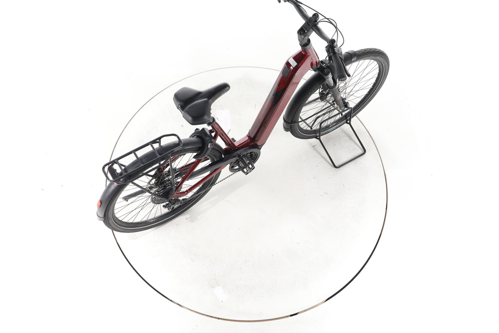 Pegasus Strong Evo 10 Lite Trekking E-Bike Tiefeinsteiger 2025 - Image 24