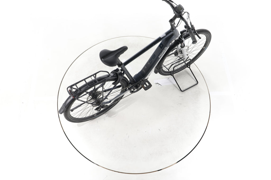 Pegasus Premio EVO Lite Trekking E-Bike - Image 24