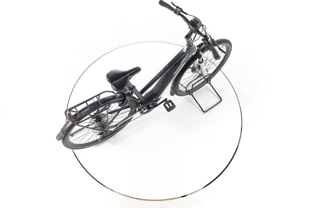 Pegasus Premio Evo 10 Lite Trekking E-Bike - Image 24